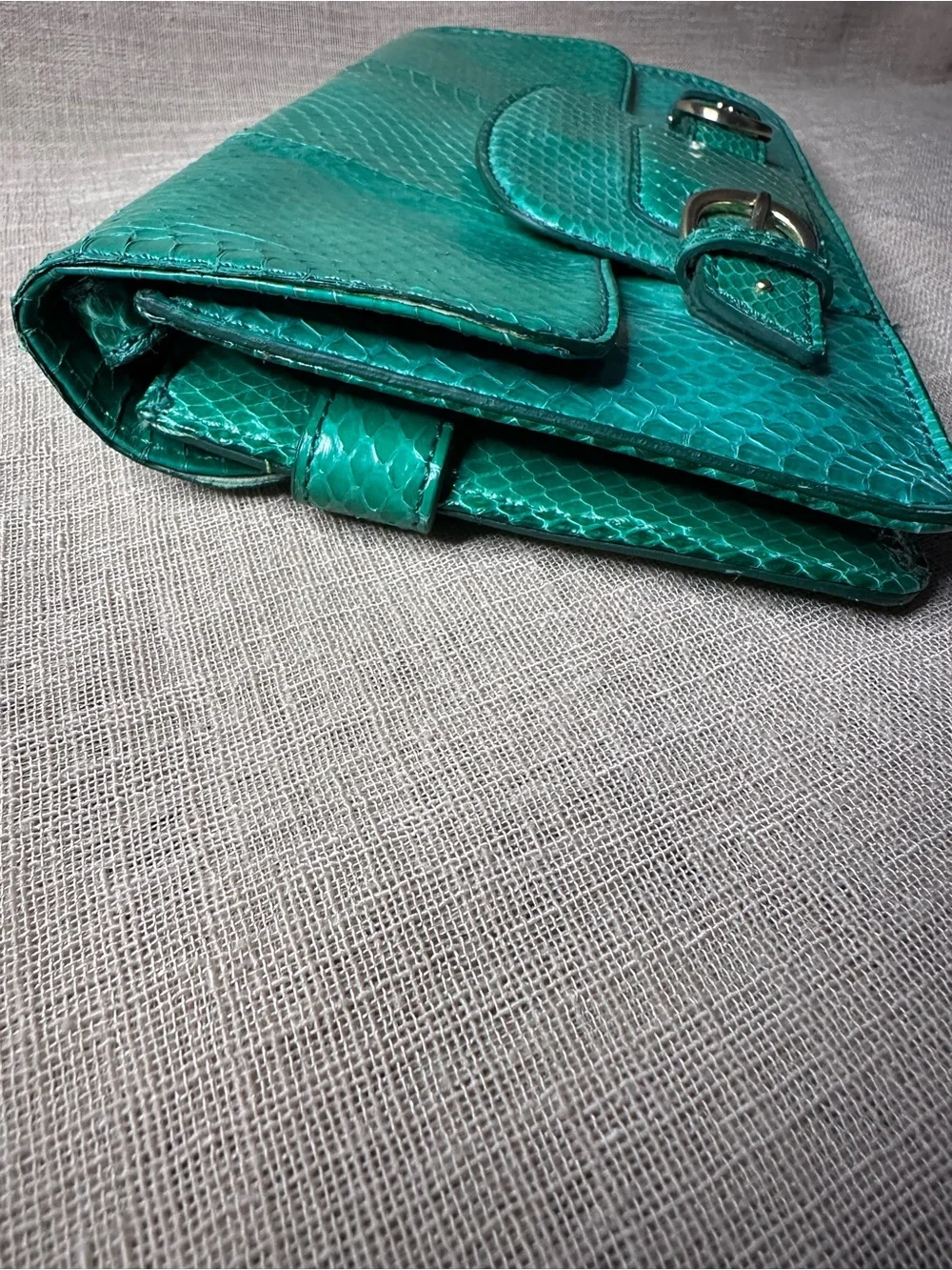 Cole Haan Green Keaton Snake Clutch RESCUE
